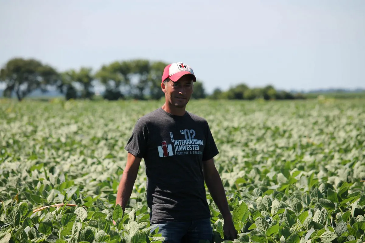 Farmer Terry Davidson walks through his soy fields in Harvard, Illinois on July 6, 2018. (Derek Henkle/AFP/Getty Images)