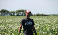 Trump Announces $19 Billion Relief Program for Farmers, Ranchers