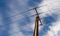 NEG Will Cut Power Bills by $150 Every Year for a Decade, Report Says