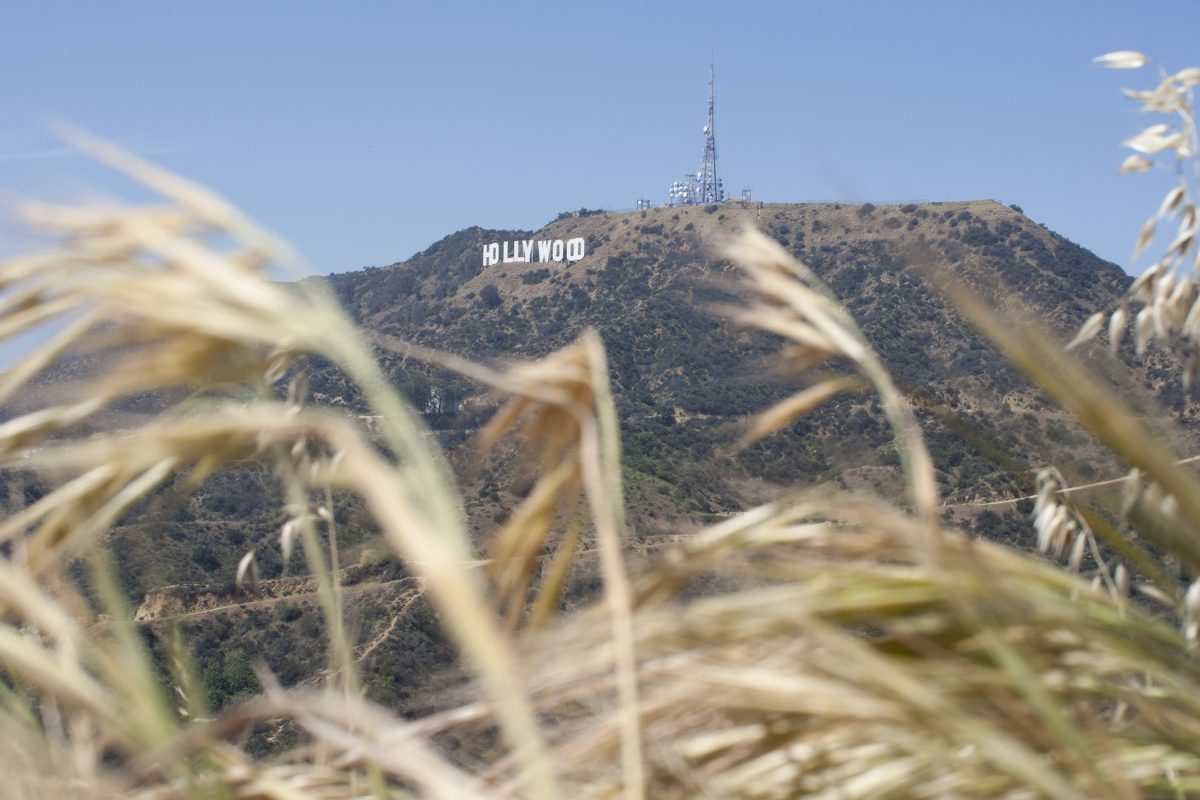 The Hollywood Sign is seen high above drying vegetation in Griffith Park on March 29, 2015 in Los Angeles, California. (Photo by David McNew/Getty Images)
