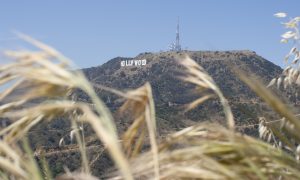 Los Angeles Is Hot Enough to Cook a Meal in Your Car