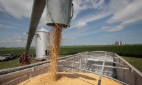 China Resumes Buying US Soybeans Amid Trade Truce