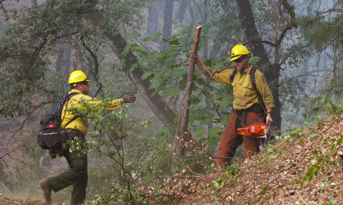U.S. Forest Service firefighters clear brush to protect a house near Igo, Calif., on July 29, 2018. (Reuters/Bob Strong)