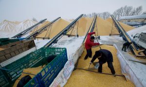 Grain-Reserve Fires in China Fuel Speculation That Facilities Are Skirting State Inspections