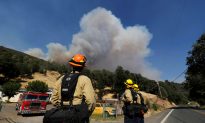Norovirus Sickens Evacuees at Mendocino Complex Fire Shelter
