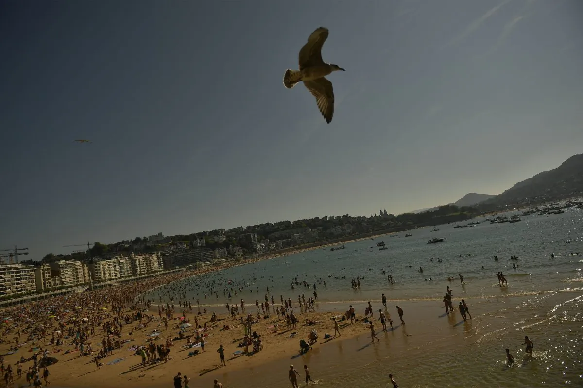 A man accused of kicking a seagull that tried to eat his cheeseburger at a New Hampshire beach has been fined $124. (Alvaro Barrientos/AP)