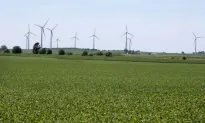 China Still Depends on US Soybeans