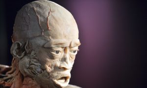 Bodies Used for UK Exhibition Could Come From Prisoners of Conscience