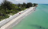 Florida Declares State of Emergency Over Red Tide