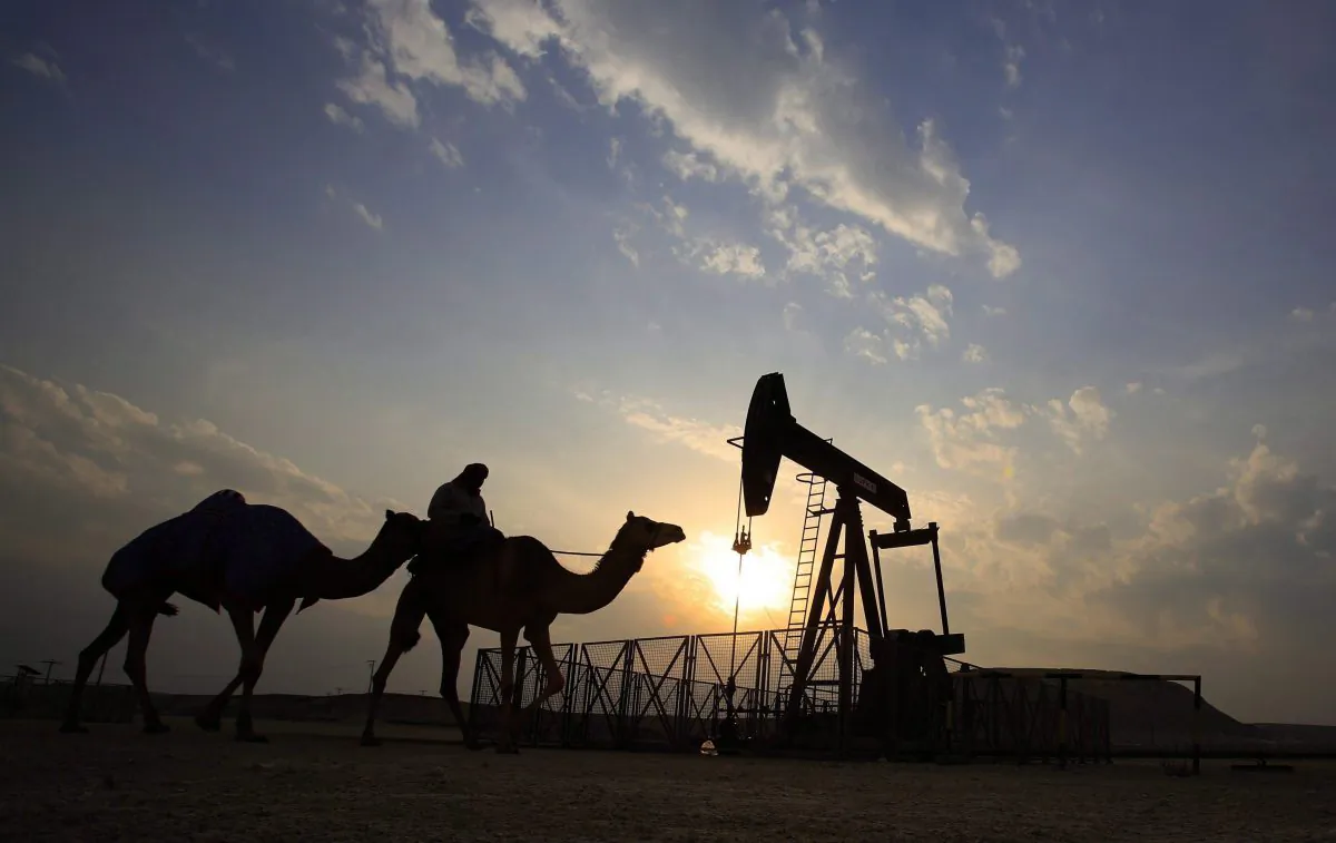 A man rides a camel through the desert oil field and winter camping area of Sakhir, Bahrain, in a file photo. Canadian health officials are evaluating the fallout of 800 Saudi medical residents and fellows leaving the health care system across the country.  (The Canadian Press/AP/Hasan Jamali)