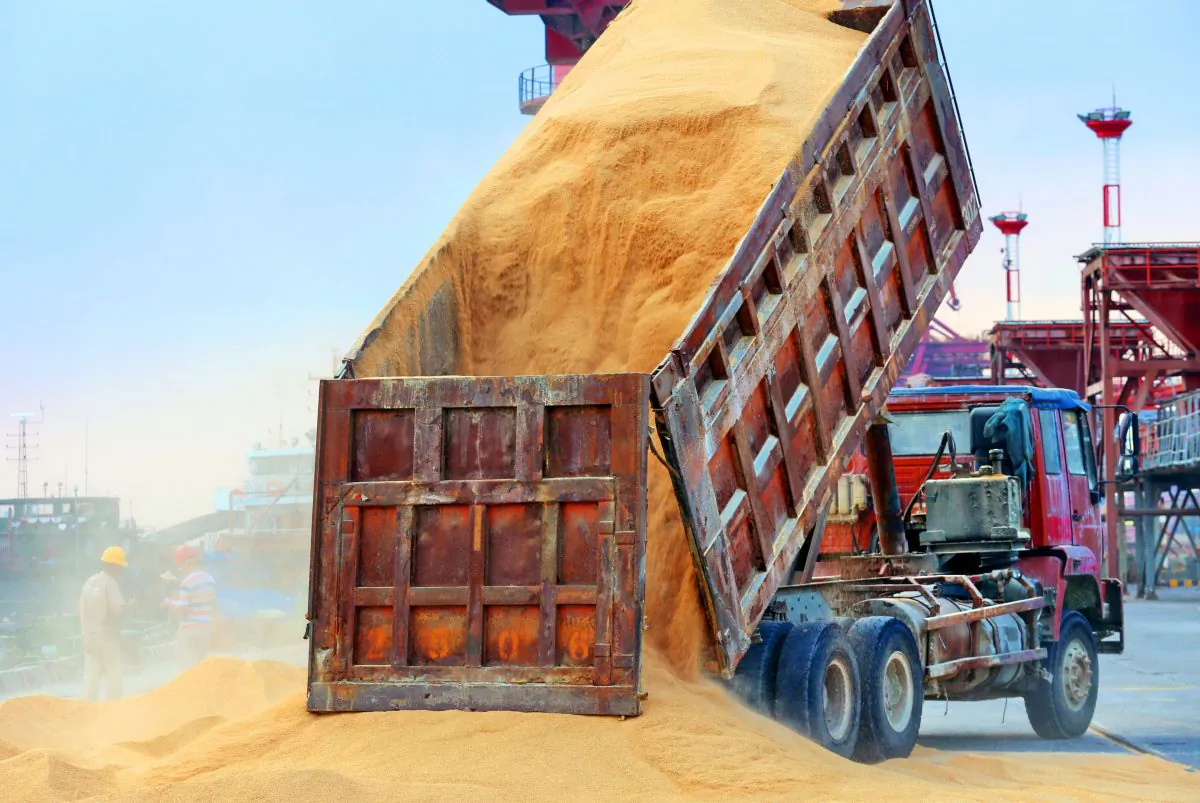 A truck unloading animal feed made from soybeans at a port in Nantong City, Jiangsu Province, China, on August 6, 2018. (AFP/Getty Images)