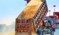 China Soybean Prices Spike as Trade War Worries Feed Supply Fears