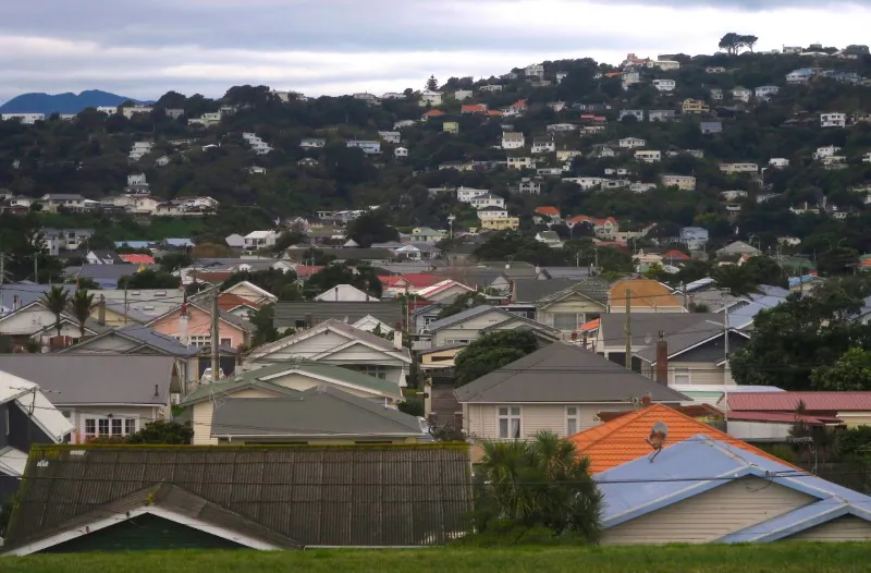 File photo: Residential houses are seen in Wellington, New Zealand, July 1, 2017. (Reuters/David Gray/File Photo)