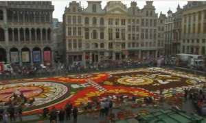 Mexican Theme as 500,000 Flowers Decorate Brussels' Grand Place