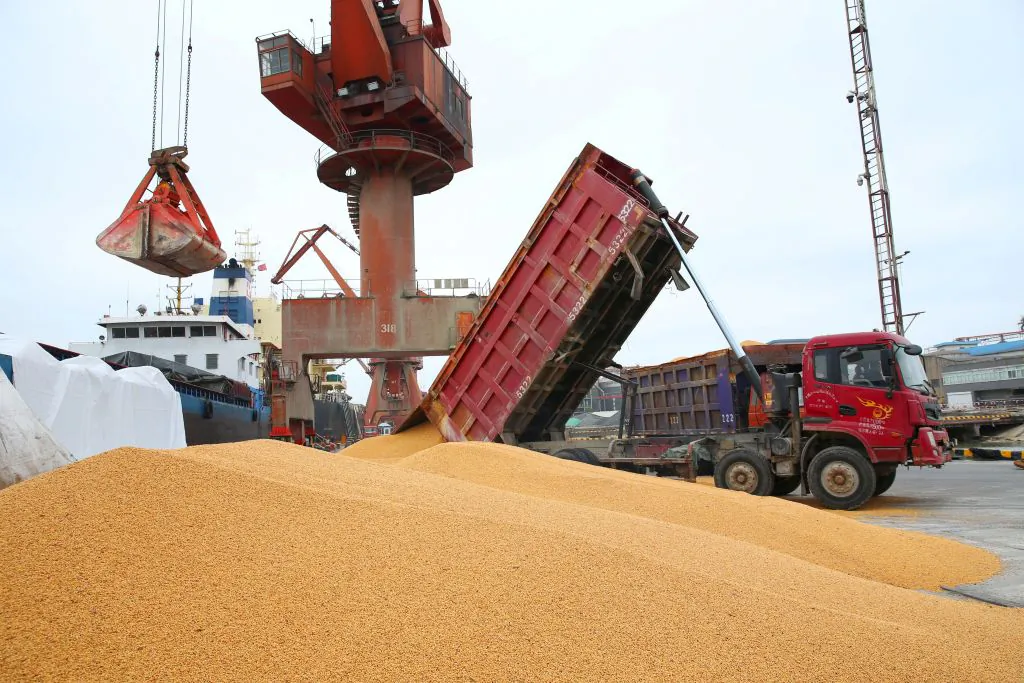 Workers load imported soybeans onto a truck at a port in Nantong in China's eastern Jiangsu Province, on April 4, 2018. (AFP/Getty Images)