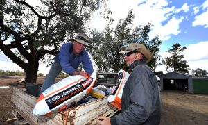 Funding Boosted to $1.8B for Drought-Stricken Communities