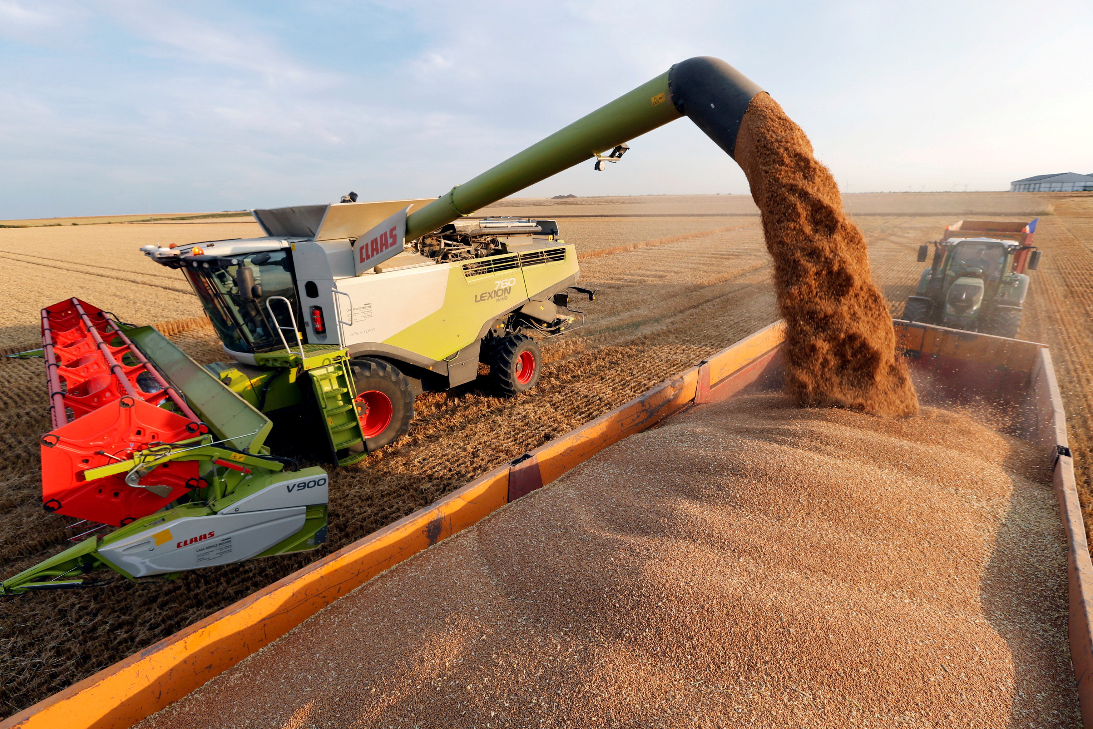 A French farmer harvests wheat.