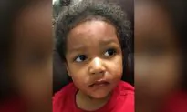 Toddlers Survive Crash That Kills Pregnant Mother