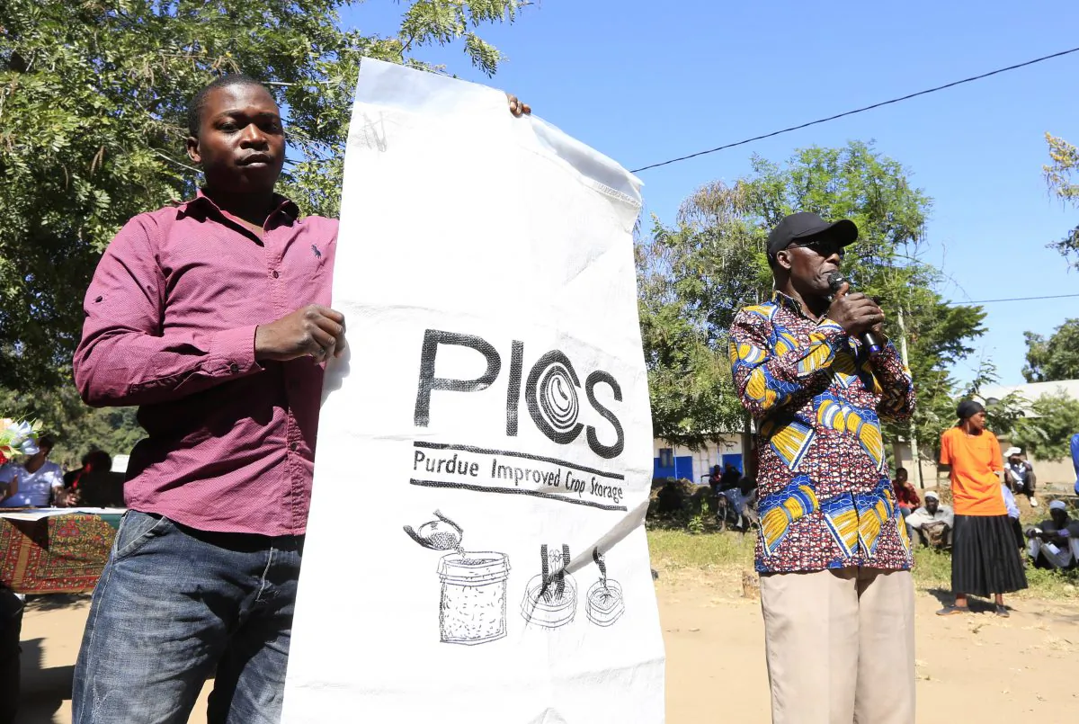 Tanzanian farmers display the locally made hermetic grain storage sacks in Kondoa, Tanzania, on June 6, 2018. (Noor Khamis/University of Zurich)