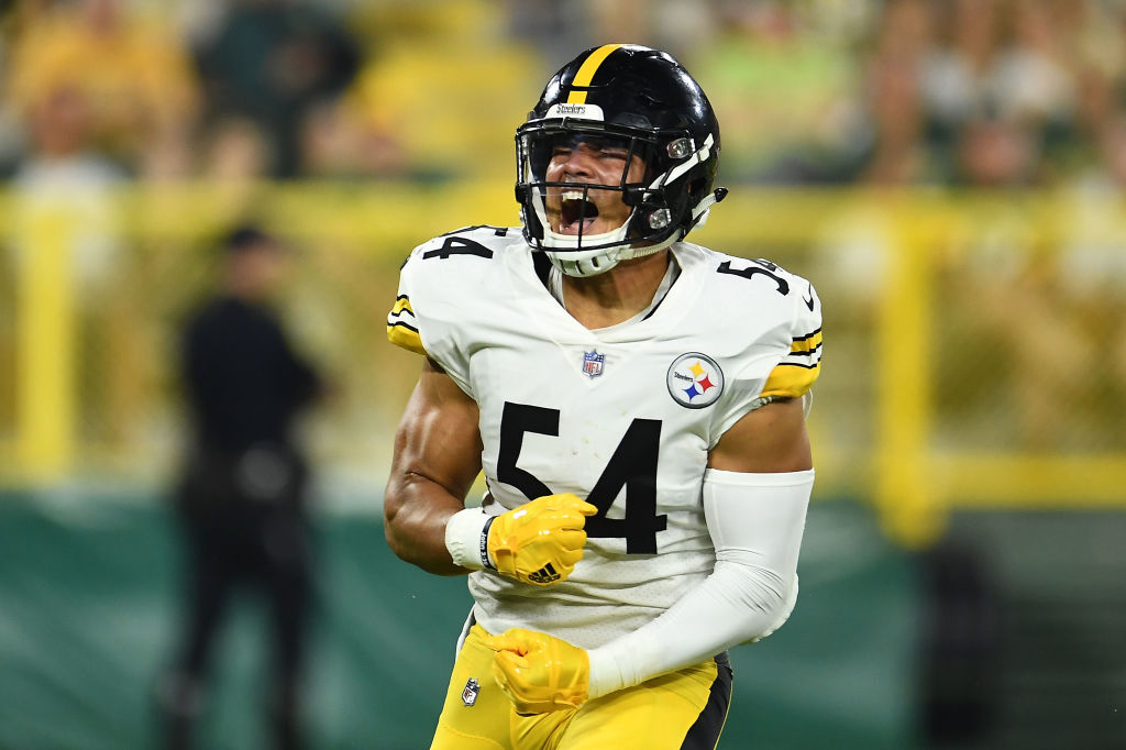 L.J. Fort #54 of the Pittsburgh Steelers