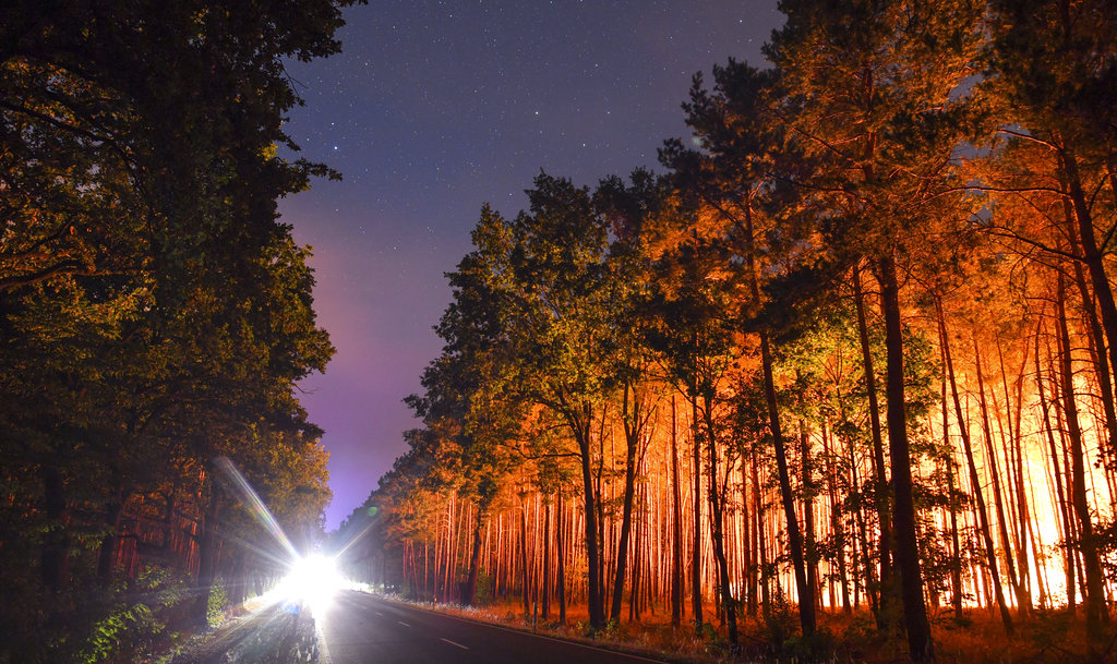 Germany Wildfires