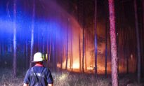 Huge Wildfire Southwest of Berlin Sets Off WWII Arms Blasts