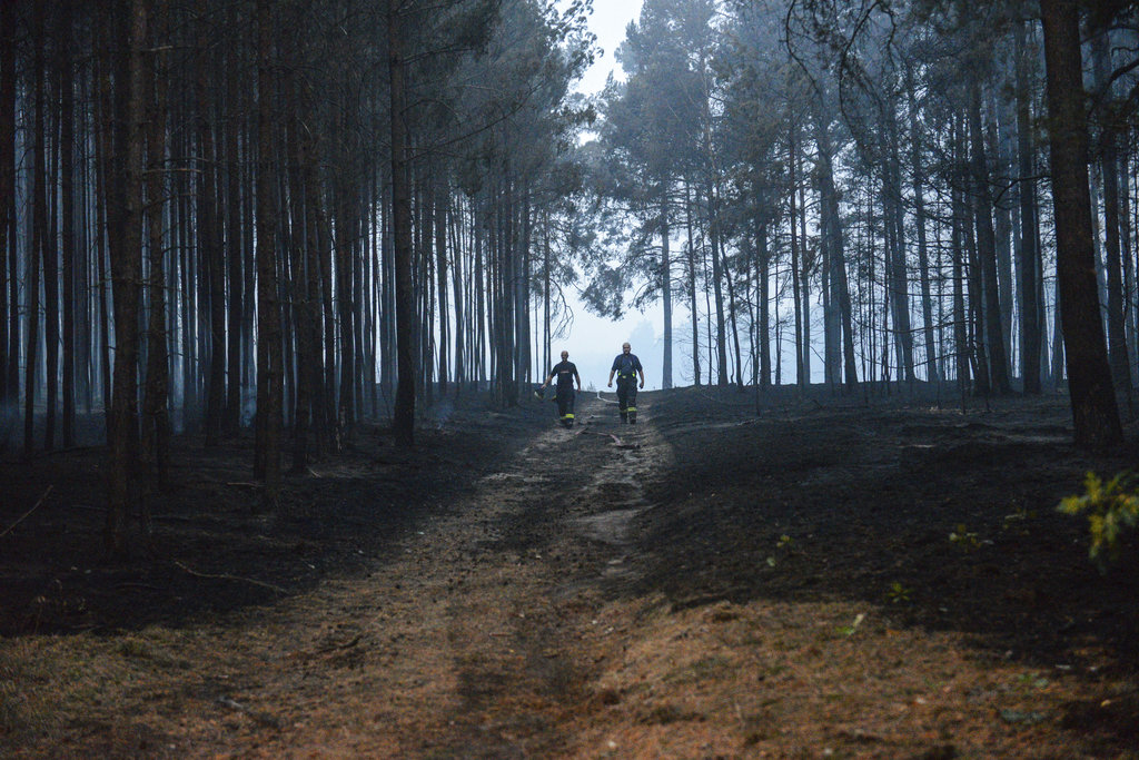 Germany Wildfires