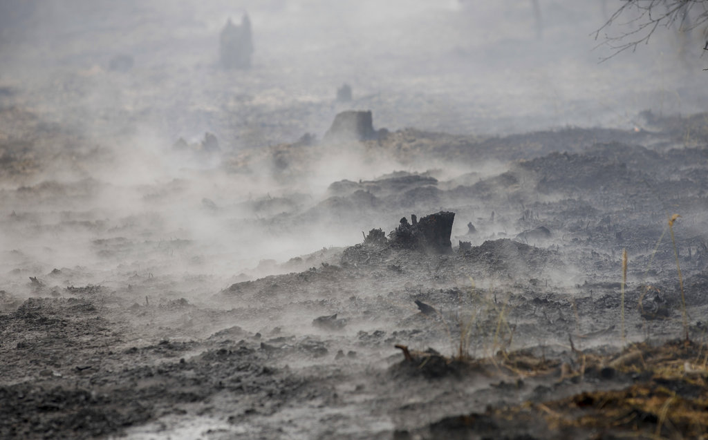 Germany Wildfires