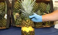 Spanish Police Seize Cocaine Hidden in Pineapples