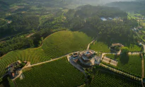 Vinho Verde Is Not Green, Nor Is It the ‘New Rosé’