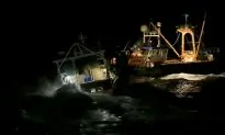 French Scallopers Licking Their Wounds, ‘Ready for Conflict’ If No Agreement Found