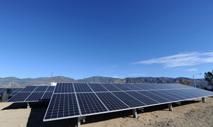 New solar panels at the Mars Petcare San Bernardino Solar Garden Unveiling in San Bernardino, Calif. on Dec. 12, 2017. (Photo by Joshua Blanchard/Getty Images for Mars Petcare)