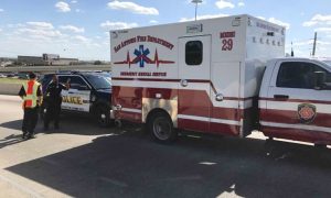 Babysitter's Pit Bull Mix Mauled 6-Month-Old to Death: Police