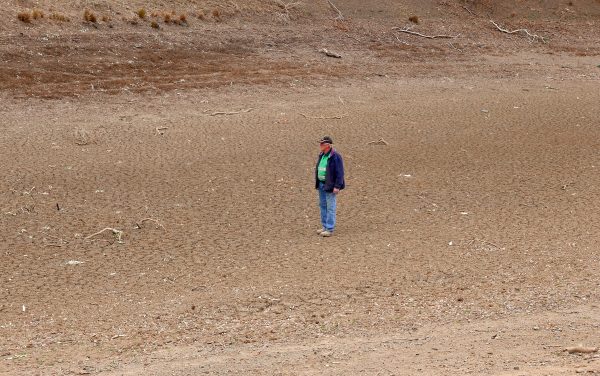 Farmer stands in drought land