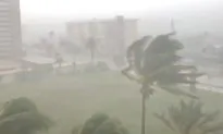 Child Killed After Tree Falls on Top of Home in Tropical Storm Gordon