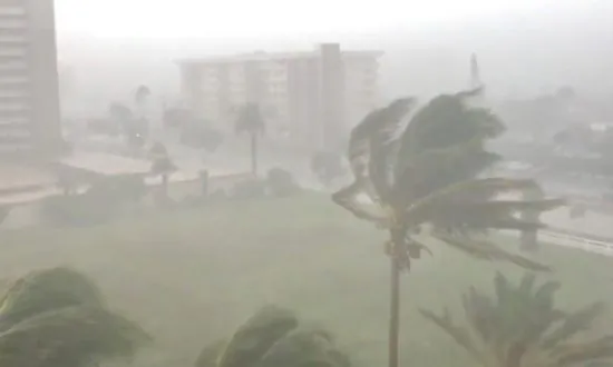 Child Killed After Tree Falls on Top of Home in Tropical Storm Gordon