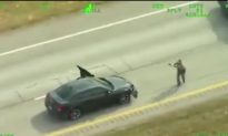 Top 5 Videos of the Day: Police Helicopter Video Captures Dramatic Shootout on Highway
