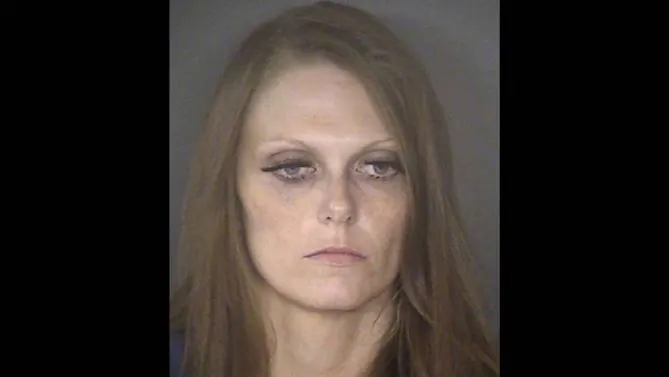 Police Officers ID Woman With Baby Who Led Police on 100 MPH Chase