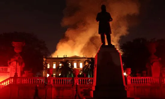 Skull of Ancient Human Possibly Found in Burned Brazilian Museum