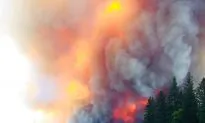 Big Rigs Abandoned as Wildfire Scorches California Freeway