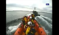 Shark Attacks Belfast Fisherman Off Irish Coast