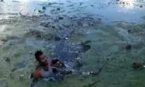 Florida Man Flees Traffic Stop, Jumps Into Algae-Filled Canal