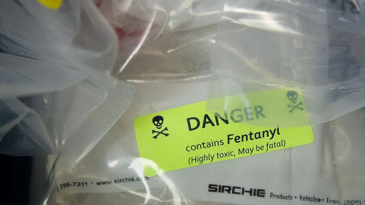 Bags of heroin, some laced with fentanyl, are displayed before a press conference regarding a major drug bust, at the office of the New York Attorney General, on Sept. 23, 2016. (Drew Angerer/Getty Images)