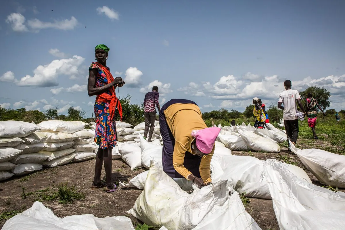 South Sudanese women collect sacks of maize and sorghum dropped from air by a World Food Programme plain in Jeich village in northern South Sudan. (Patrick Meinhardt/AFP/Getty Images)