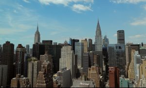 New Yorkers Talk About Integrity in Florida Midterm Elections