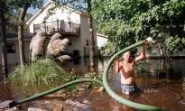 Florence Could Flood Hog Manure Pits and Taint Drinking Water