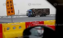 China Bans Live Hog Transport from 10 New Regions