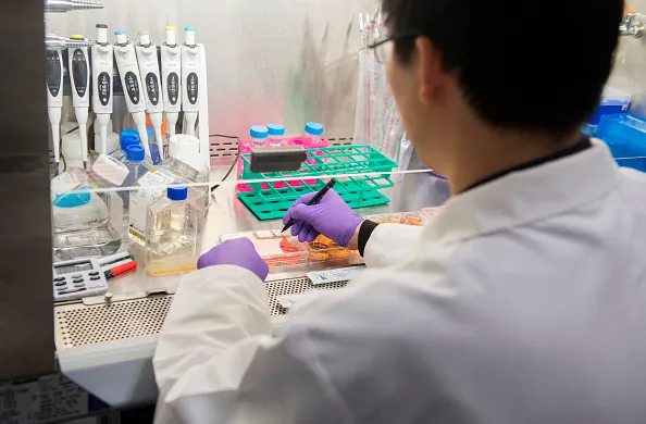 Dr. Benjamin Jin, a biologist working on immunotherapy for HPV+ cancers, works in the lab of Dr. Christian Hinrichs, an investigator at the National Cancer Institute at the National Institutes of Health (NIH) in Bethesda, Maryland, February 7, 2018.   (Photo credit should read SAUL LOEB/AFP/Getty Images)