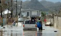 Millions of Bottles of Water Never Got to Maria Victims