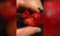 Needle in Strawberry Sends Young Man to Hospital